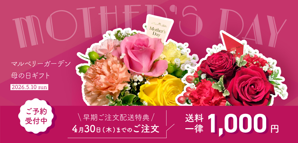 2026年母の日花ギフト・プレゼント