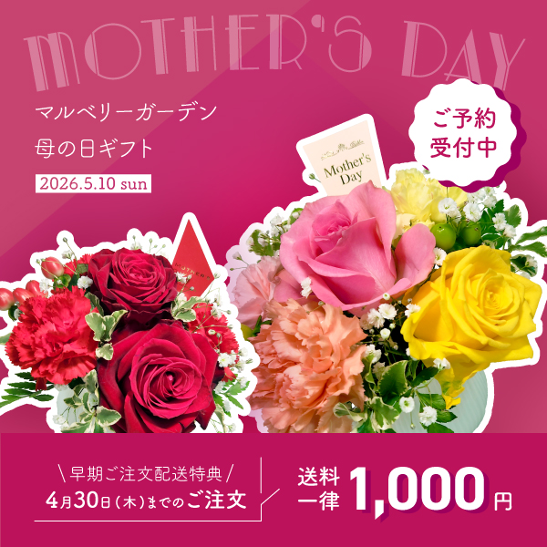 2026年母の日花ギフト・プレゼント